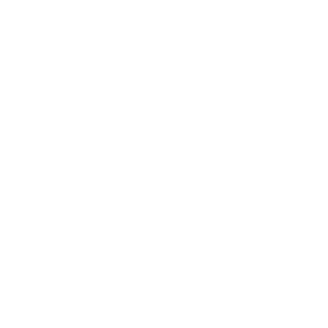 Anderson Guitarworks